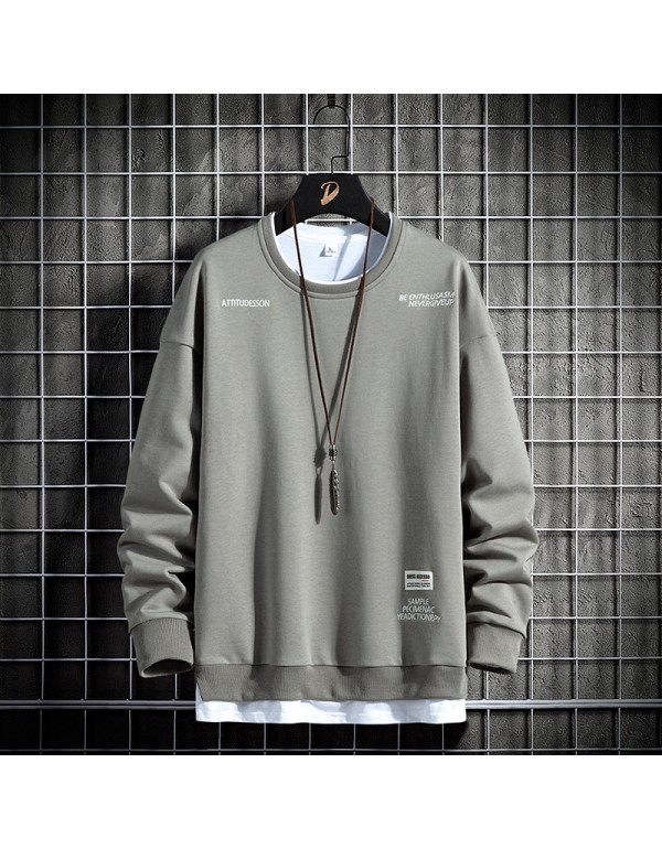 Men Basic Long Sleeve Round Neck Loose Sweatshirt